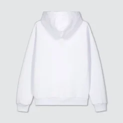 Miesten Huppari, LEIJONAT X HOODIE>Billebeino Hot