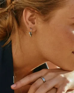 korvakorut, AMORE HOOPS S STEEL>Edblad New