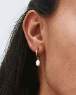 korvakorut, helmet, PERLA HOOPS GOLD>Edblad Outlet