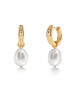 korvakorut Perla Hoops L Gold, Gold pleated>Edblad Best