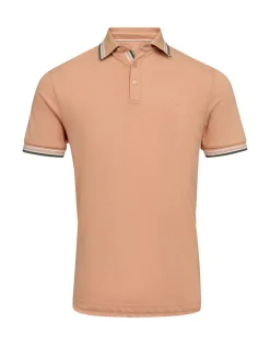 Miesten Pikeepaita, K SALT PIKEE>Gino marcello Outlet