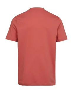 miesten t-paita, COTTON T-SHIRT>Gino marcello Discount