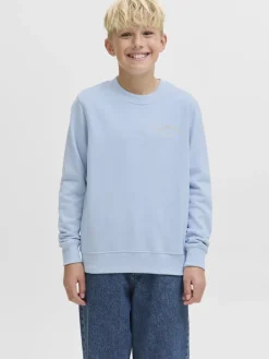 college, JJEBRANDES RELAXED SWEATSHIRT JNR>Jack and Jones Junior New