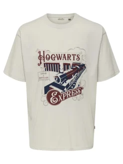 miesten t-paita, ONSXMAS RLX SS TEE HP>Only and Sons