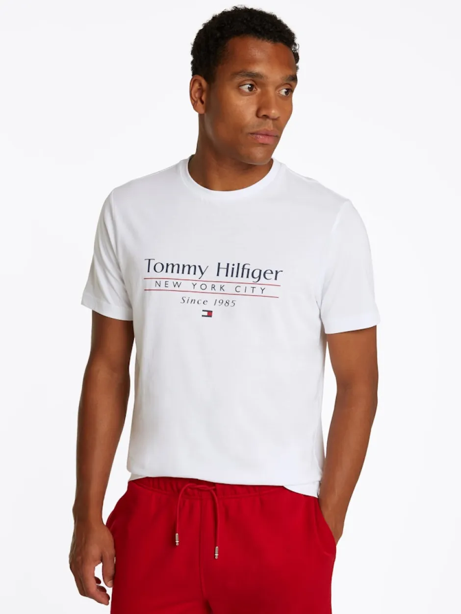 miesten t-paita, HILFIGER CENTER STACK LOGO TEE>Tommy Hilfiger Discount